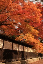 ふるさとの晩秋