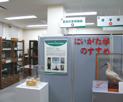 新潟大学旭町学術資料展示館